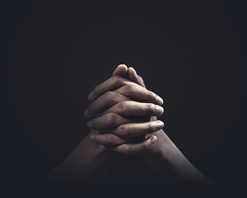 praying hands stock photo
