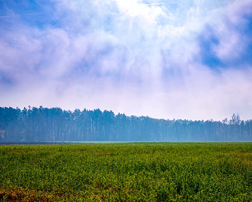 Green field with rays of sun coming through clouds