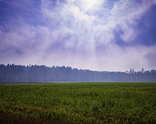 stock photo of cloudy sky and grassy field