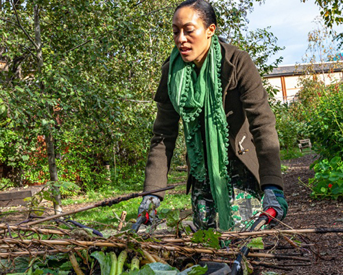 Woman wearing green scarf pushing a wheelbarrow of organic material through a yard
