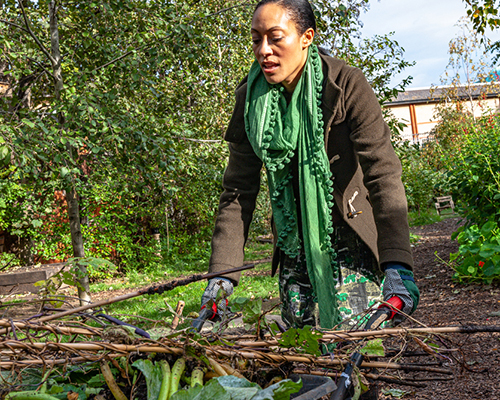 stock photo of woman gardening