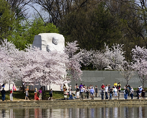 Getty Images stock photo of MLK Jr memorial and tidal basin