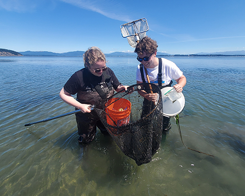 Algal bloom with Walla Walla University students