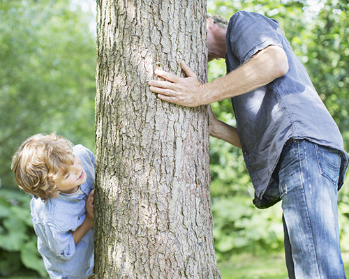 stock photo of dad and son playing hide and seek around a tree