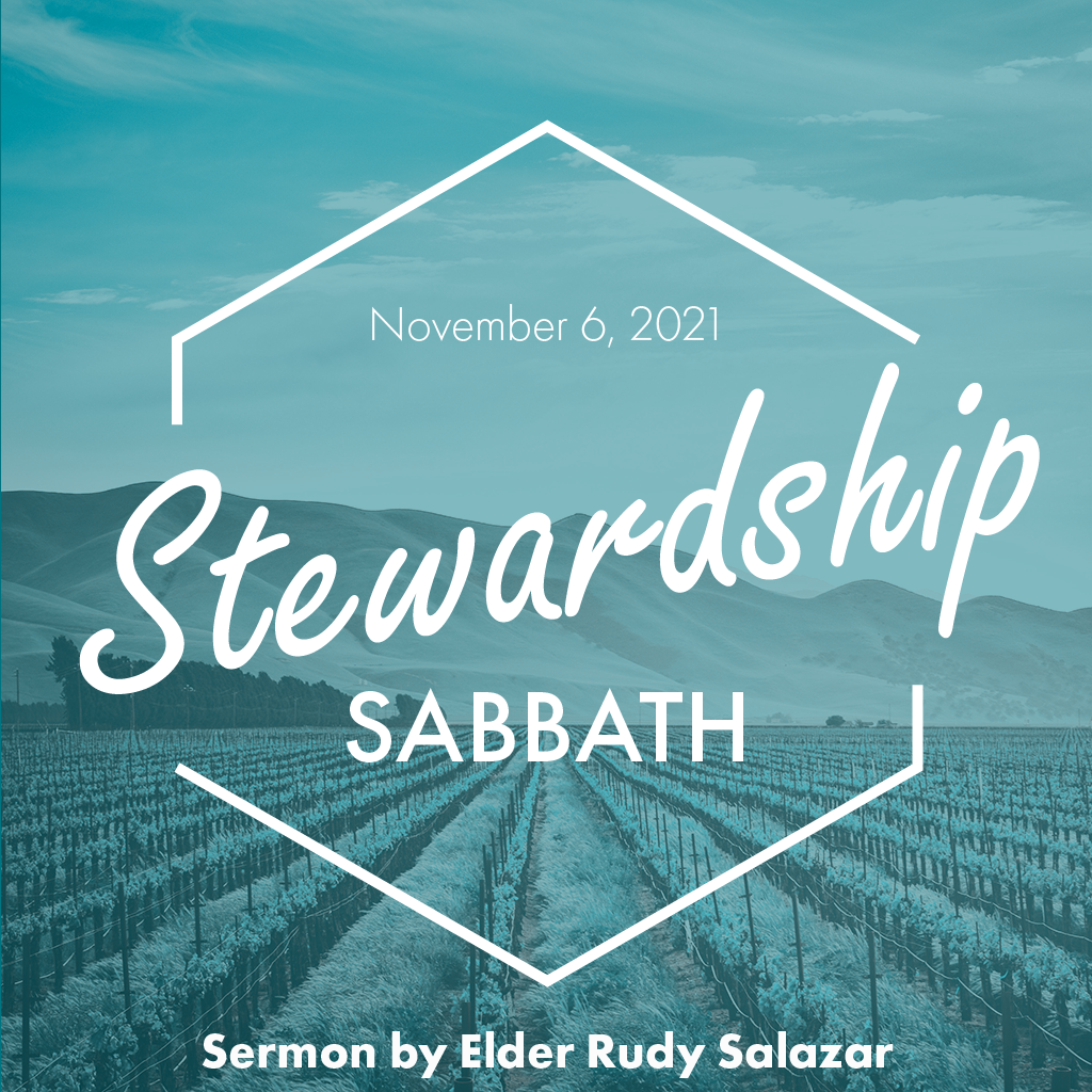 Stewardship Sabbath promo image with rows of grapevines
