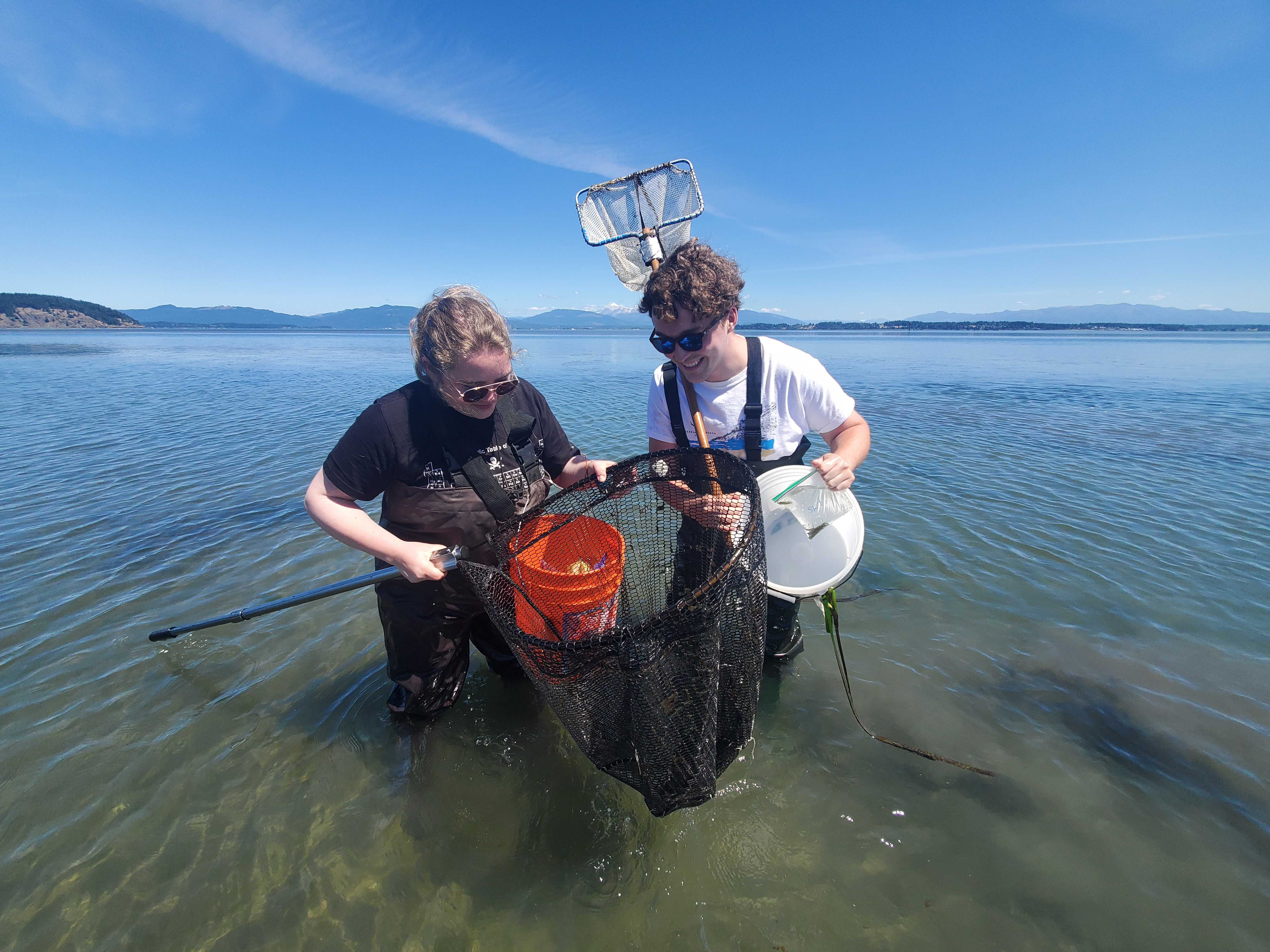 Algae bloom photo from Walla Walla University