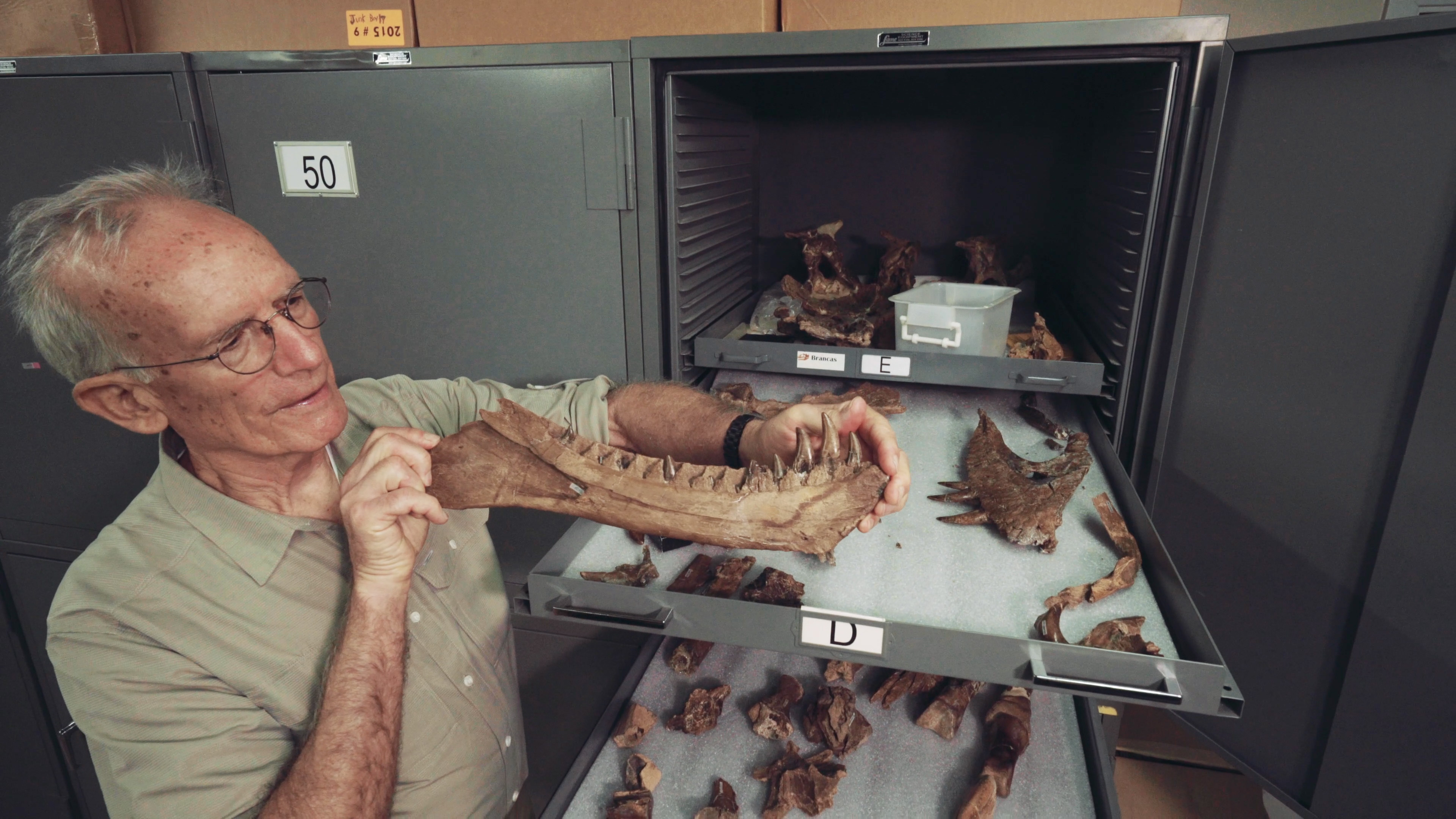 Man holding a fossilized dinosaur jaw bone