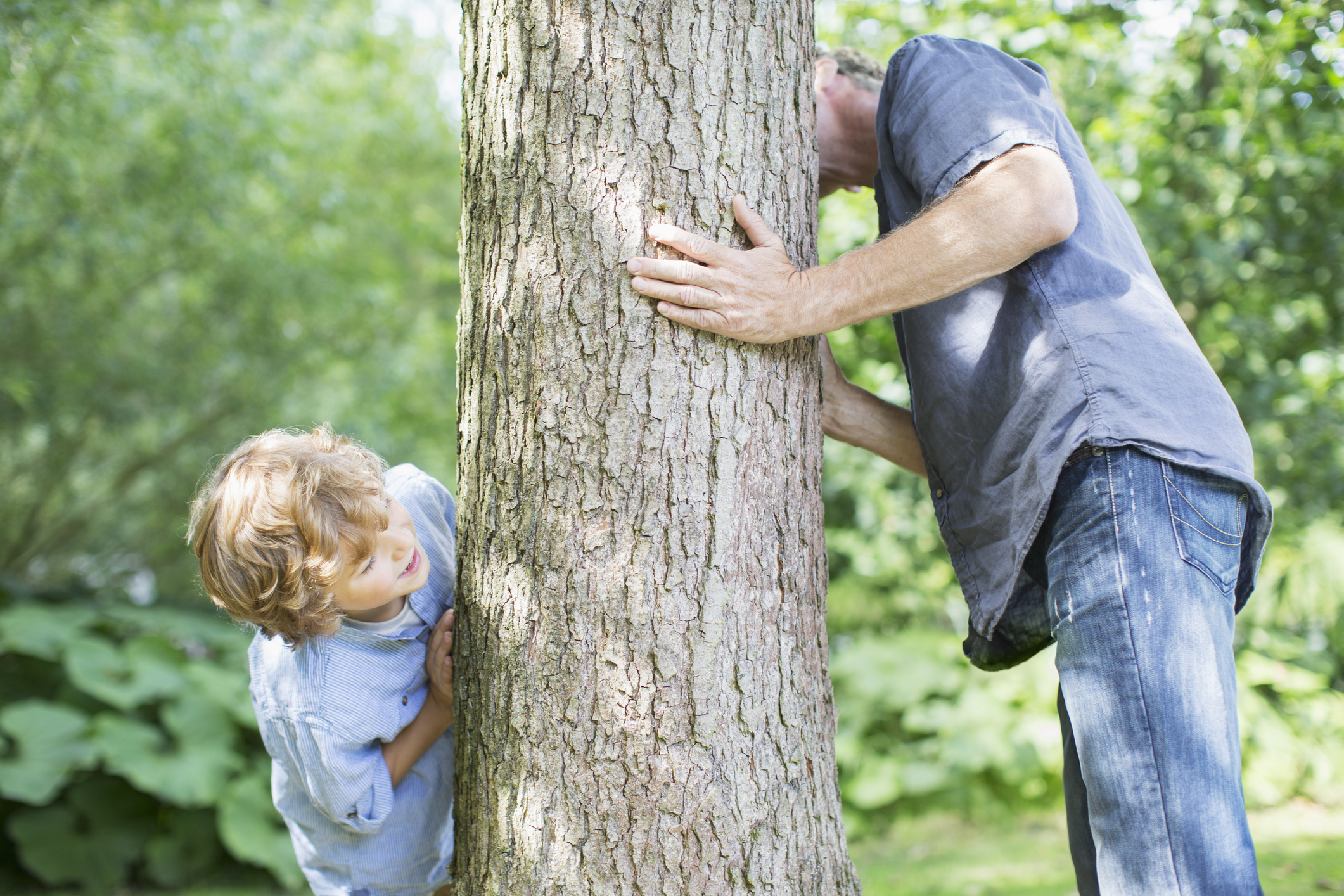 stock photo of boy and dad playing hide and seek outside by a tree