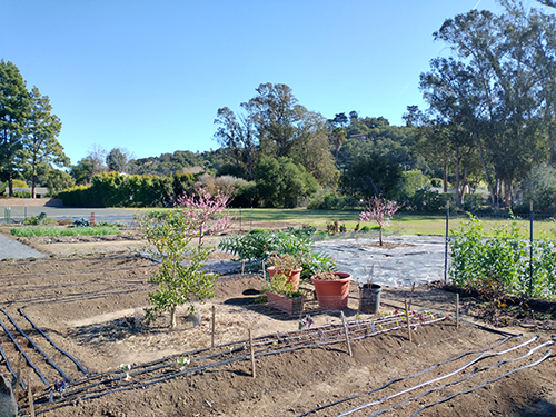 Many of the gardeners are in the process of prepping the soil for spring.