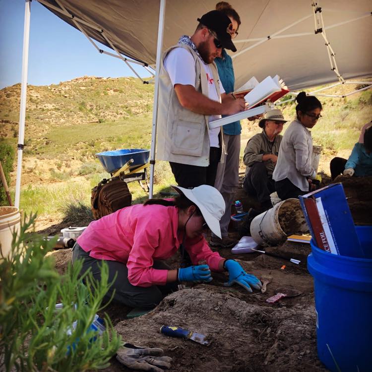 Dinosaur Research Project participant, Diana Tanksley, works on the dig site in Wyoming.