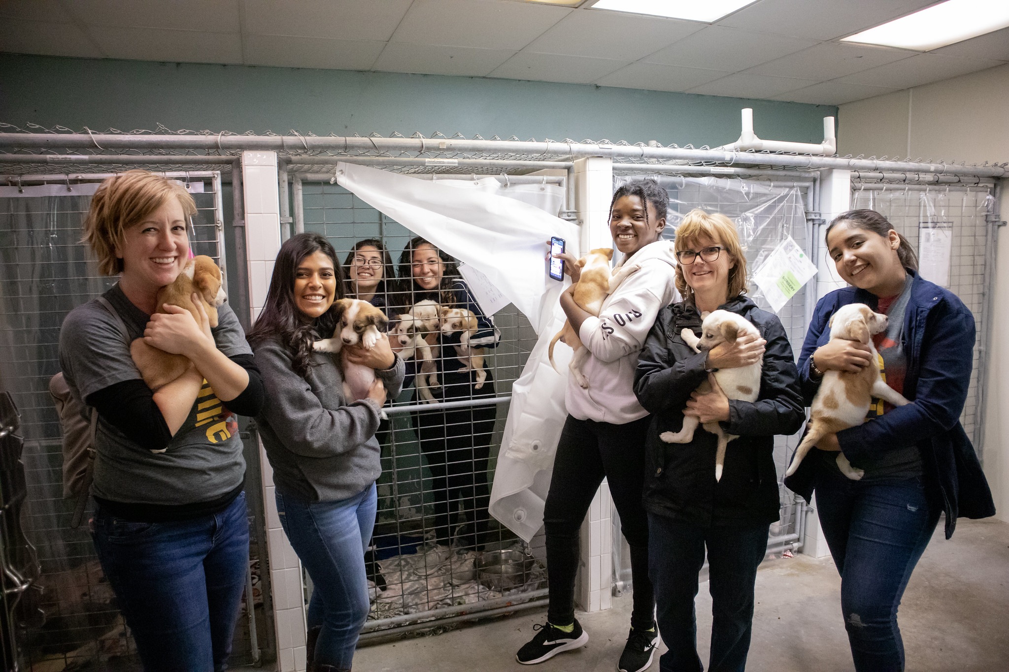 SWAU Ignite program animal shelter