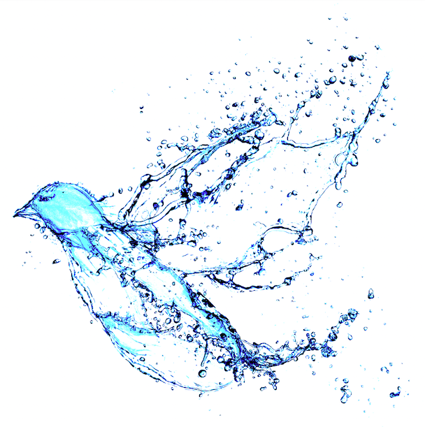 2023 Health Summit dove and water graphic