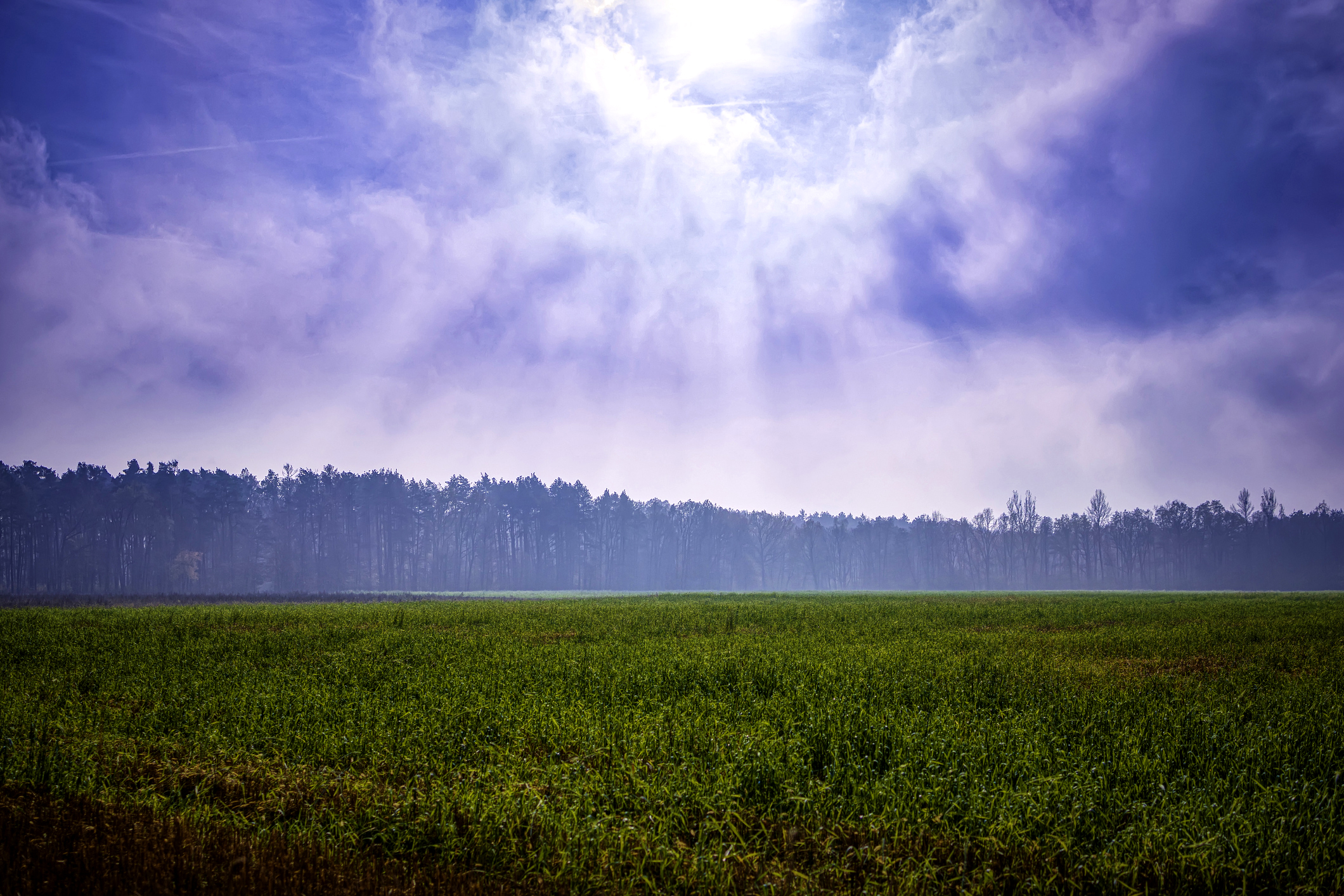 stock photo of grass and cloudy sky