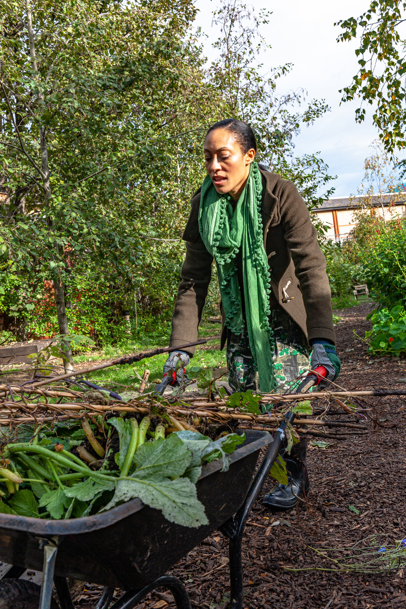 stock photo of woman gardening