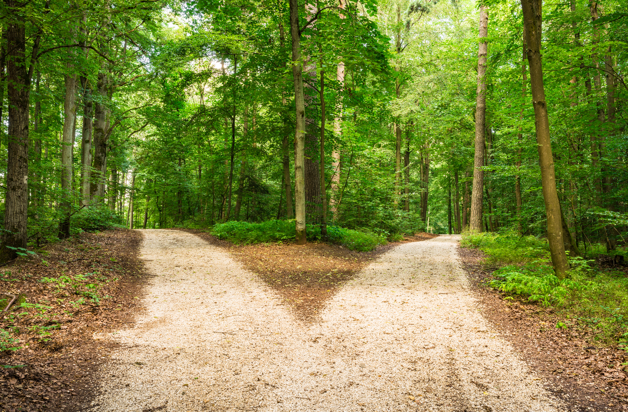 Two diverging paths in a forest. 