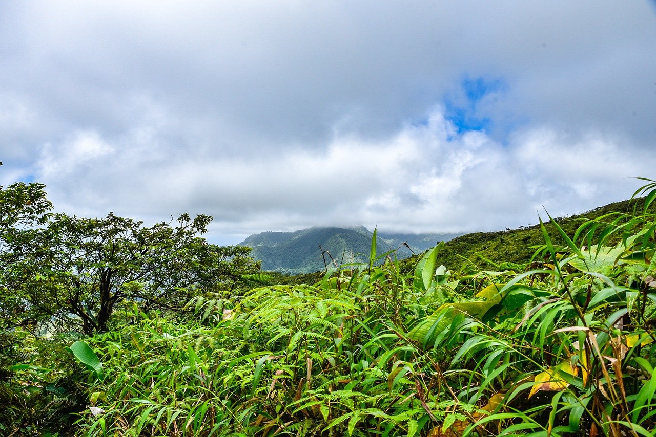 Pixa Bay St Vincent volcano License Creative Commons